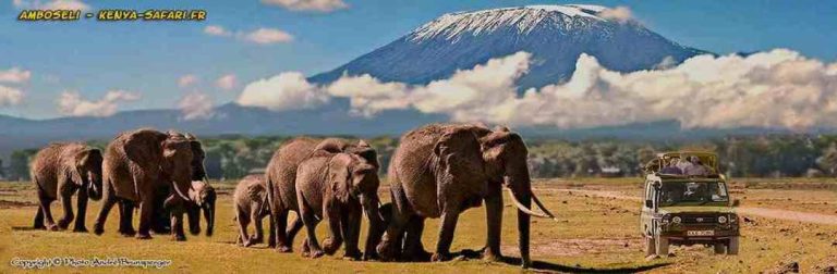 Eléphants devant le mont Kilimanjaro - Safari Amboseli Tsavo 7j de Nairobi Diani
