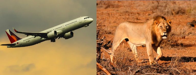 Safari package 9j Amboseli Tsavo Nairobi Diani 3j safari +4j