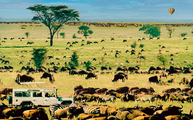 La grande migration entre le Serengeti en Tanzanie et le Masaï Mara au Kenya