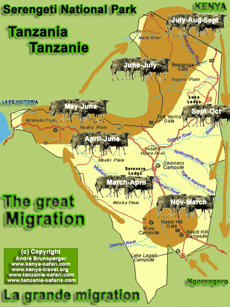 carte et plan de la grande migration entre le Serengeti et le Masaï Mara Parcs et réserves