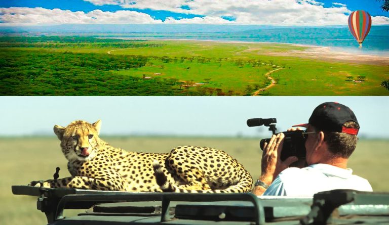 Safari Nakuru Masai Mara Amboseli 8 jrs safari centre kenya