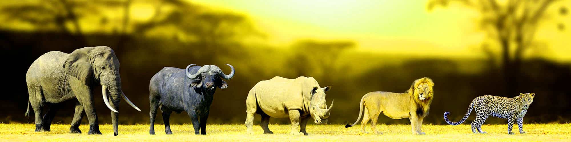 Parcs et réserves du Kenya