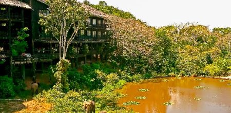 Lodge de Shimba Hills