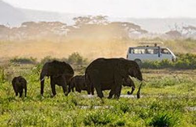 kenya-safari.fr les plus beaux safaris au Kenya