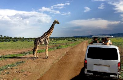 Girafe - Safari en groupe 10 jours Nakuru Masaï Mara et lac Naivasha